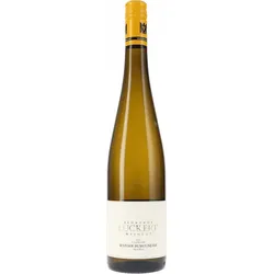 Sulzfelder Weisser Burgunder trocken Weingut Zehnthof 2025 BIO