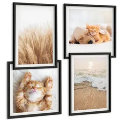 BILDER SET 4er Set - 50x50 cm & 40x60 cm Schwarzer Rahmen - Niedliche Tiere, Katzen, Hunde, Strand