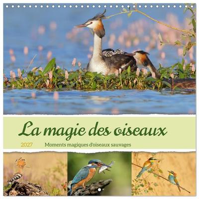 La magie des oiseaux (Calendrier mural carré 2027 30x30 cm) Calendrier double avec une page pour vos prises de notes