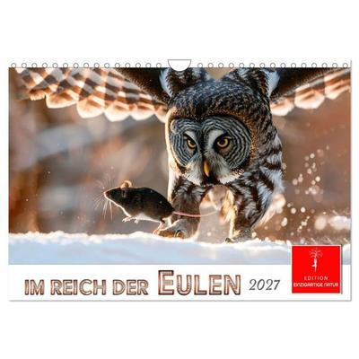 Im Reich der Eulen (Wandkalender 2027 DIN A4 quer), CALVENDO Monatskalender