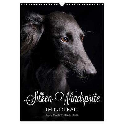 Silken Windsprite im Portrait (Wandkalender 2027 DIN A3 hoch), CALVENDO Monatskalender