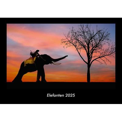 Elefanten 2025 Fotokalender DIN A3