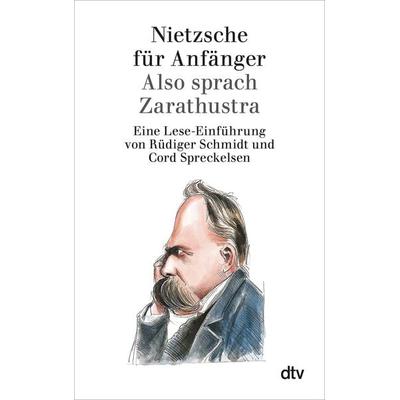 Nietzsche für Anfänger, Taschenbuch von Rüdiger Schmidt, dtv, 978-3-423-30124-4