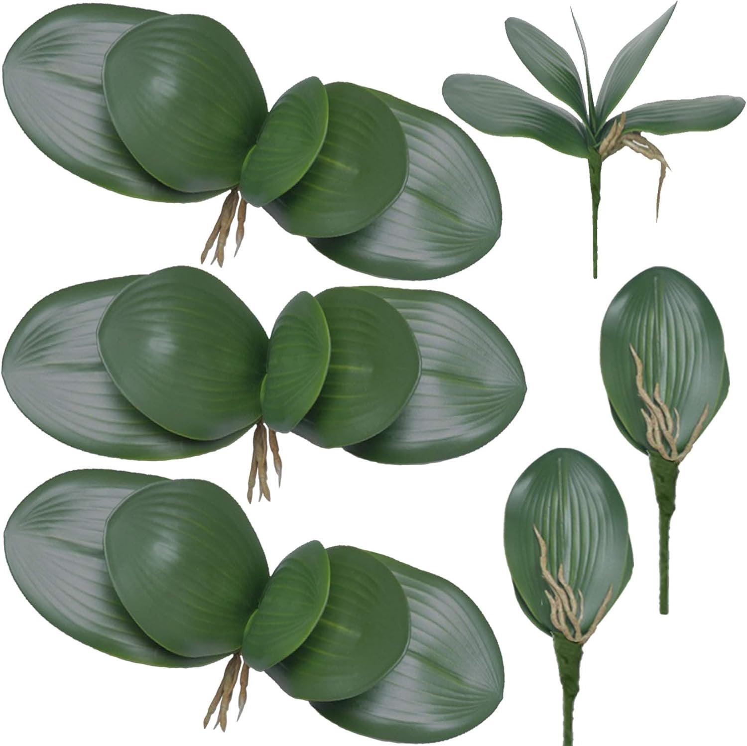 Set van 6 realistische kunstorchidee bladeren voor decoratie, 26 cm
