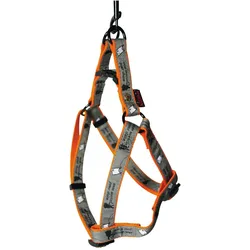 Martin Sellier Marcel (M, Hund, Spazieren), Halsband + Leine