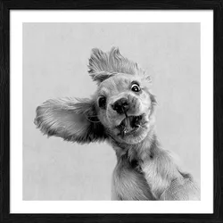Gerahmtes Bild FUNNY DOG I (BHT 32,50x32,50x1,80 cm) - bunt - BHT 32,50x32,50x1,80 cm