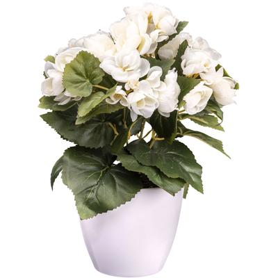 Kunstblume CREATIV GREEN "Begonie", beige (creme), H:28cm, Kunststoff, Kunstpflanzen, mit farbenfrohen Blüten