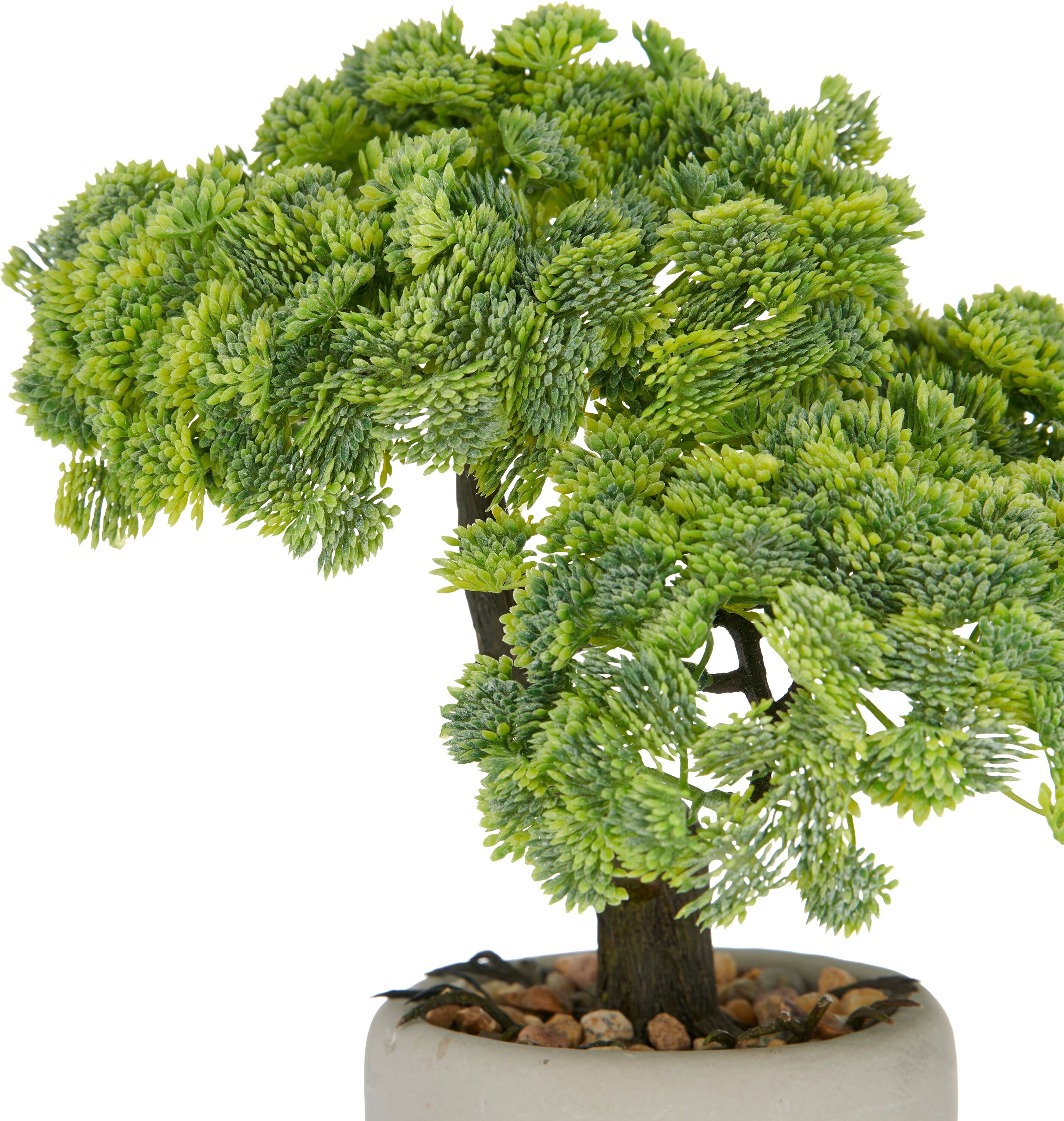 Kunstbonsai CREATIV GREEN "Bonsai Sedum multiceps", grün, B:26cm H:24cm T:20cm, Kunststoff, Kunstpflanzen, Kunstbonsai, mit modernem Pflanzgefäß