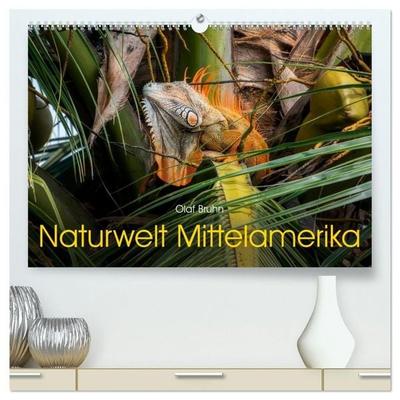 Naturwelt Mittelamerika (hochwertiger Premium Wandkalender 2027 DIN A2 quer), Kunstdruck in Hochglanz