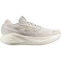 Salomon Herren Aero Glide 4 grau 44.0