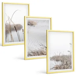 BILDER SET 3er Set - 40x60 cm Goldrahmen - Wasserpflanzen im Sommer