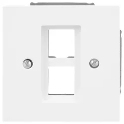Busch-Jaeger Zentralscheibe m. Tragring 2561-02-44G