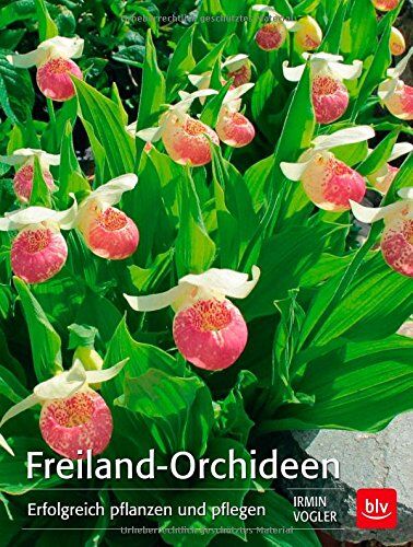 Irmin Vogler - Freiland-Orchideen: Erfolgreich pflanzen und pflegen - Preis vom 30.09.2026 09:01:18 h