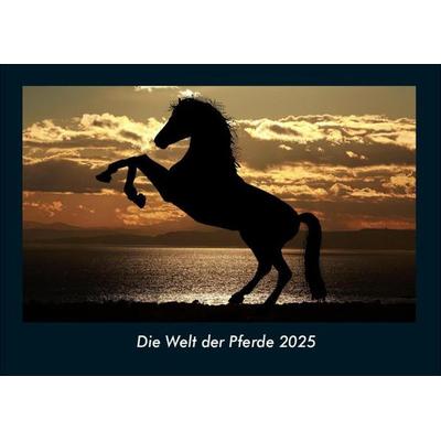 Die Welt der Pferde 2025 Fotokalender DIN A4
