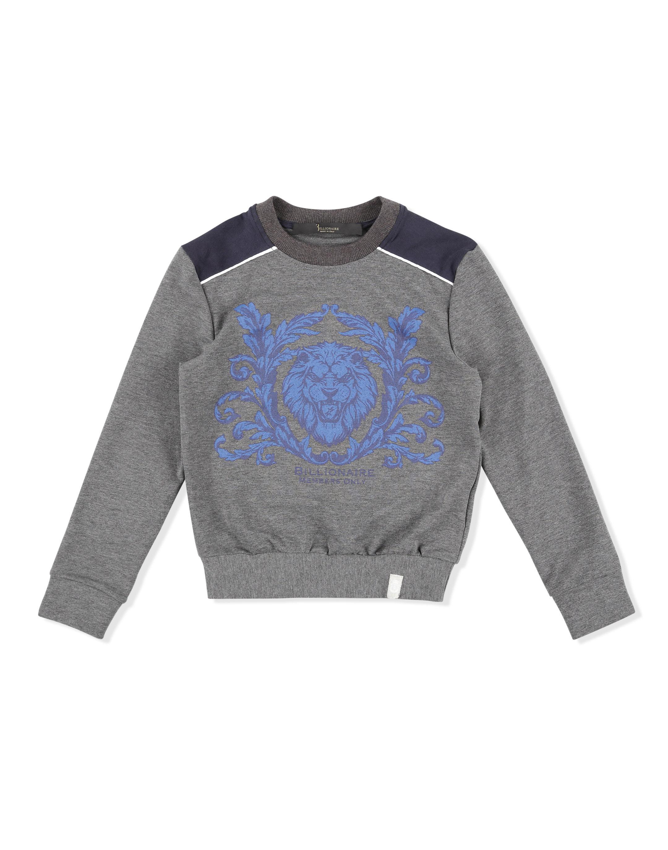 Sweatshirt Lion