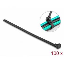 Delock 19066 Kabelbinder Schwarz Hitzestabilisiert, Wiederverwendbar 100 St.