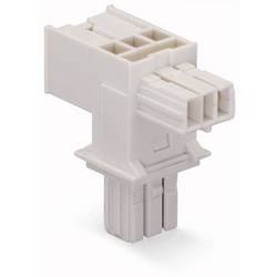 WAGO 893-1656 Netz-T-Verteiler Netz-Stecker - Netz-Buchse, Netz-Buchse Gesamtpolzahl: 2 Lichtgrau 25 St.