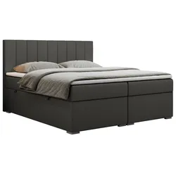 BOXBETT LOPE 180/200 - Dunkelgrau Kunstleder - H4