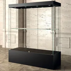 Ausstellung Vitrine schwarz 160 x 60 cm