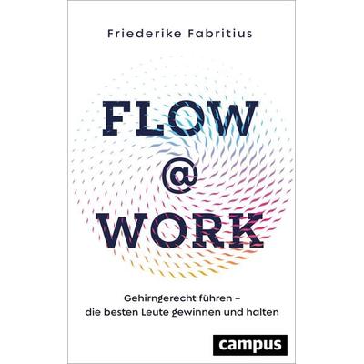 Flow@Work, Gebundene Ausgabe von Friederike Fabritius, Campus, 978-3-593-51644-8