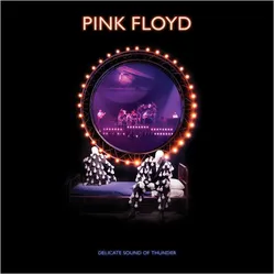 Legacy, Schallplatten, Delicate Sound Of Thunder (Ogv) (Wb) (Pink Floyd)