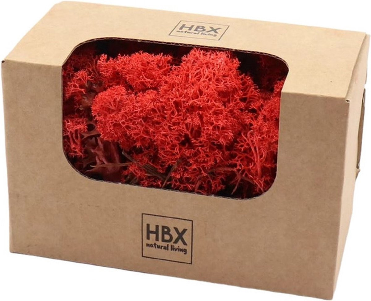 HBX Natural Living Decoratiemos Rood - 2x 100 gram - Rendiermos voor hobbygebruik