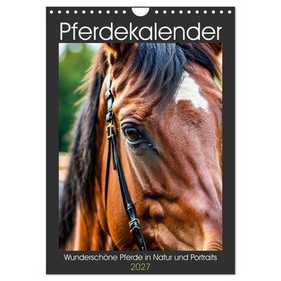 Pferdekalender - Wunderschöne Pferde in Natur und Portraits (Wandkalender 2027 DIN A4 hoch), CALVENDO Monatskalender