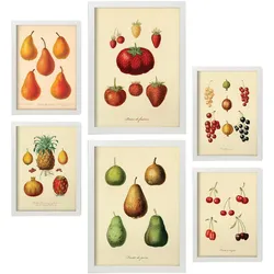 POSTER Set Mit 6 Früchte In Vintage A3 & A4 Weißer Rahmen