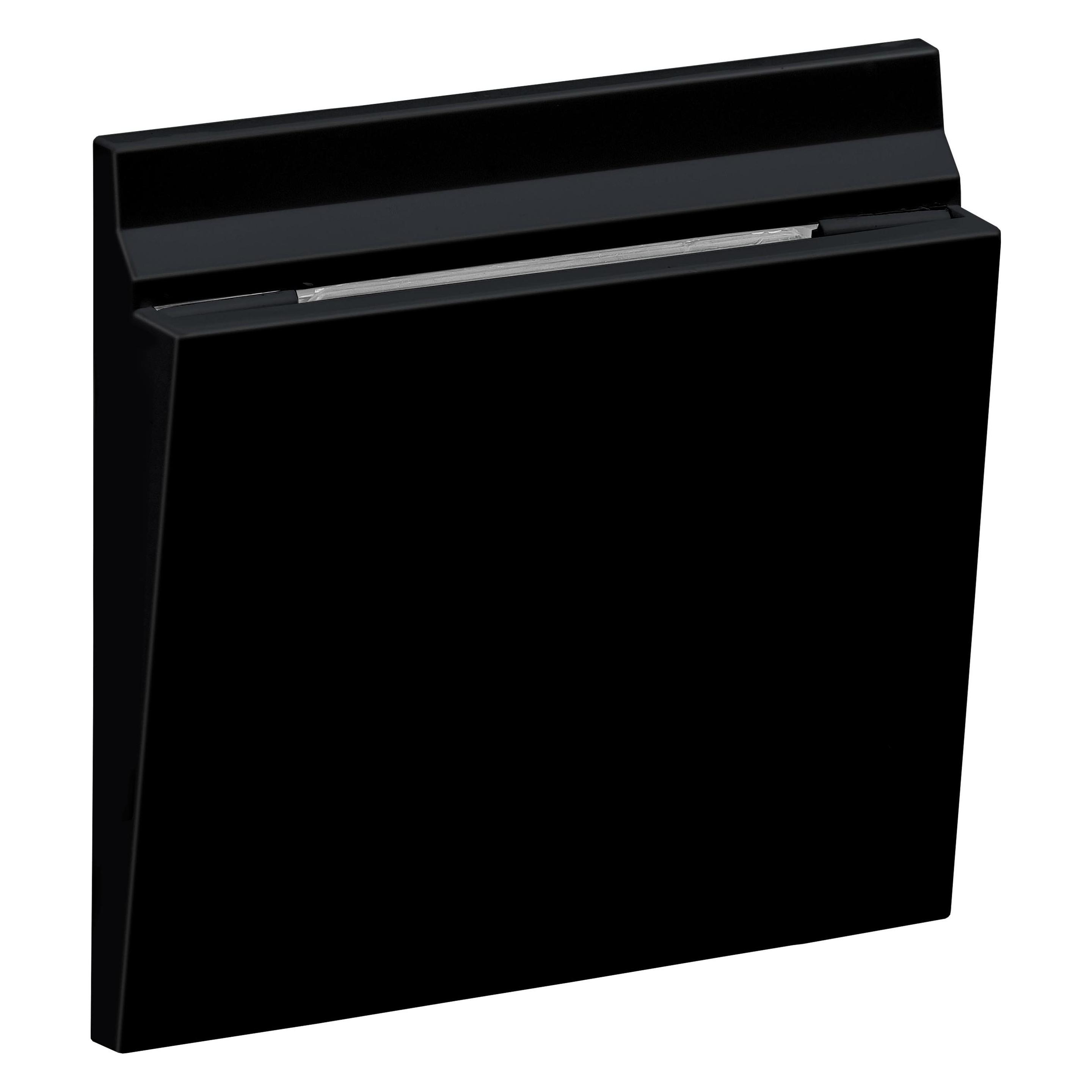 Legrand SEANO Abdeckung für mechanischen Hotel-Card-Schalter, Schwarz, 765343 (765343)