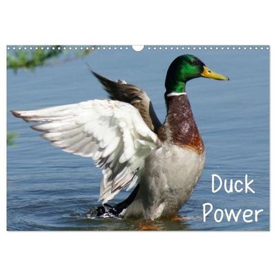 Duck Power (Wandkalender 2027 DIN A3 quer), CALVENDO Monatskalender