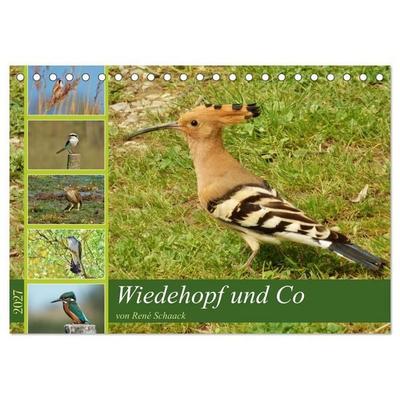 Wiedehopf und Co - von René Schaack (Tischkalender 2027 DIN A5 quer), CALVENDO Monatskalender