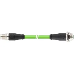 Lapp 2172341 RJ45 Netzwerkkabel, Patchkabel 10 m 1 St. (10 m), Netzwerkkabel