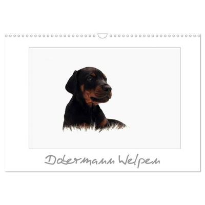 Dobermann Welpen (Wandkalender 2027 DIN A3 quer), CALVENDO Monatskalender