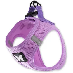 Martin Sellier Hunde-Geschirr aus Mesh (Hund, Spazieren), Halsband + Leine