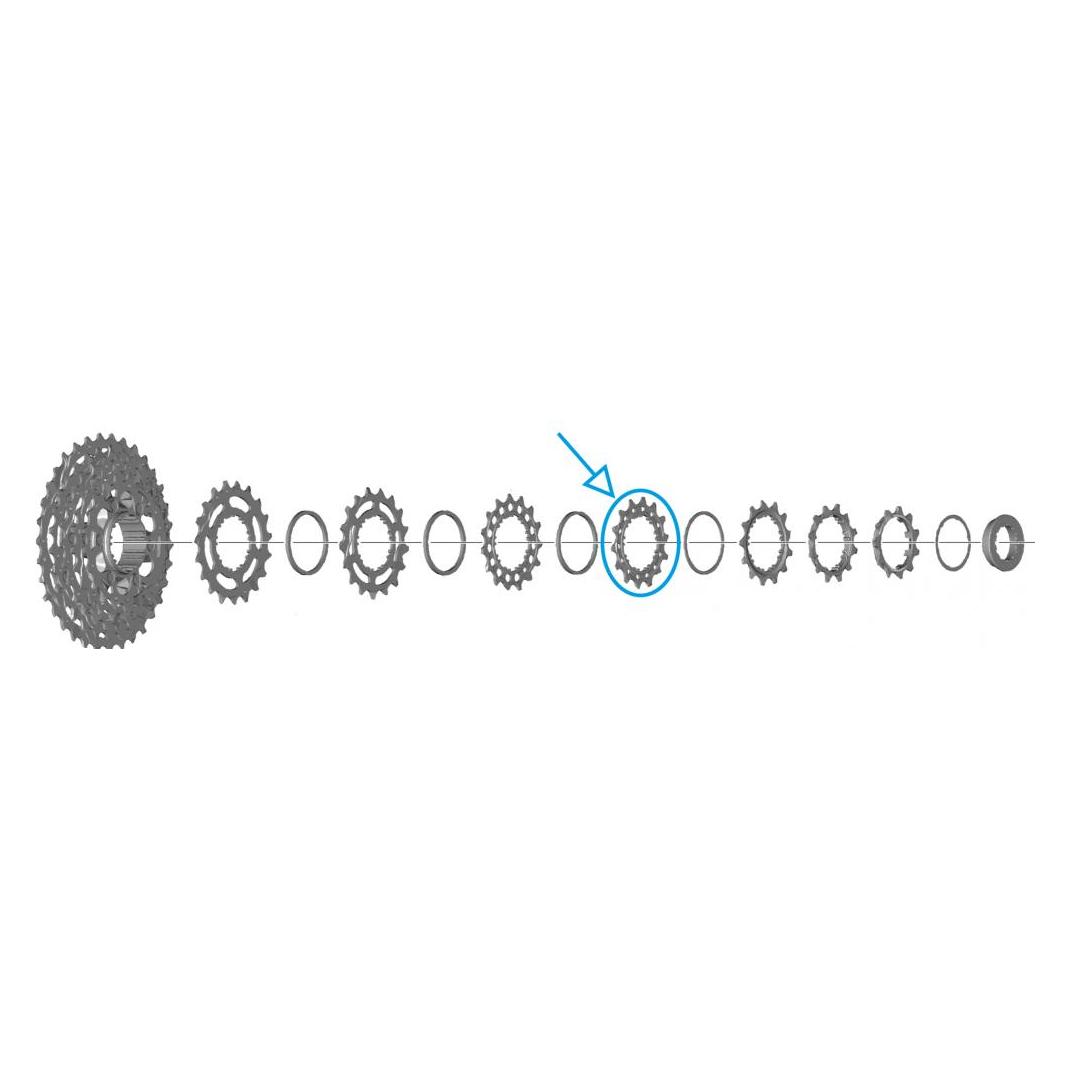 Shimano Zahnkranz CS-R7100 14 Zähne (14) (33369944)