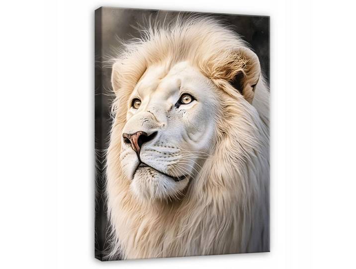 BILDER Löwe Weiß Tiere Modern 60x40