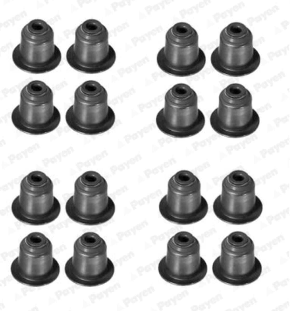 Dichtungssatz, Ventilschaft PAYEN HR5045