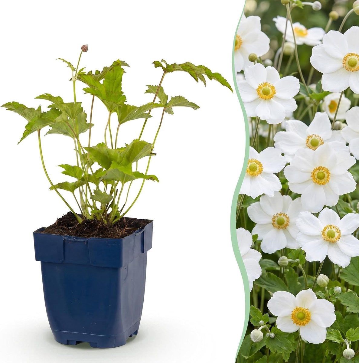 Set van 3 witte herfst anemoon kunstplanten voor tuin decoratie