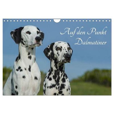 Auf den Punkt - Dalmatiner (Wandkalender 2027 DIN A4 quer), CALVENDO Monatskalender