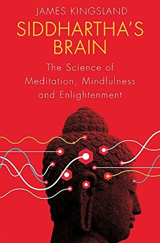 James Kingsland - Siddhartha's Brain: The Science of Meditation, Mindfulness and Enlightenment - Preis vom 09.10.2026 07:28:09 h