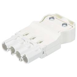 Wieland Electric 92.944.3053.0 Steckverbinder