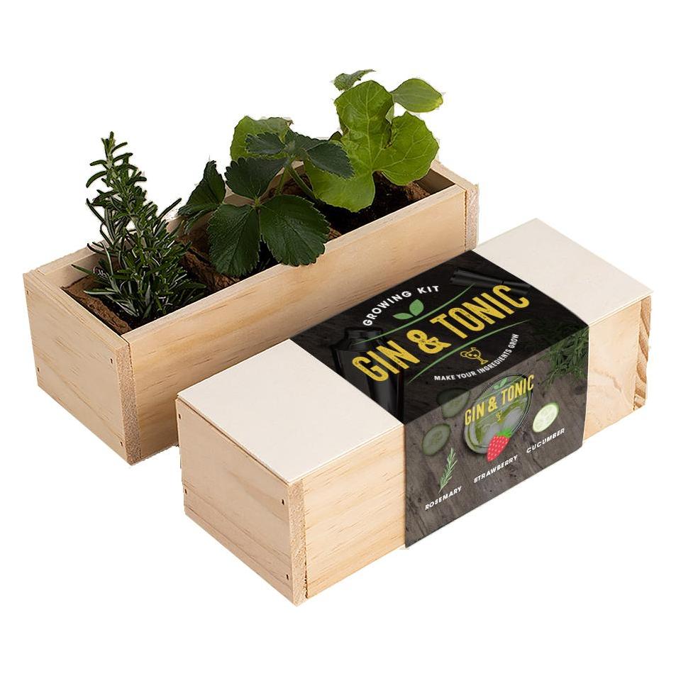Resetea Kulinarisches Grow Kit "Gin & Tonic" (Früchtesamen, Gemüsesamen, Kräutersamen) (Erst169)