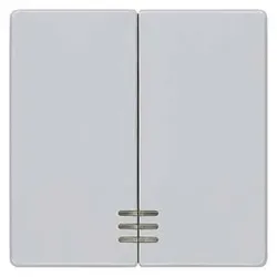 Siemens Delta Line Wippe mit Fenster für Serien/Doppel-Wechselschalter (aluminiummetallic)