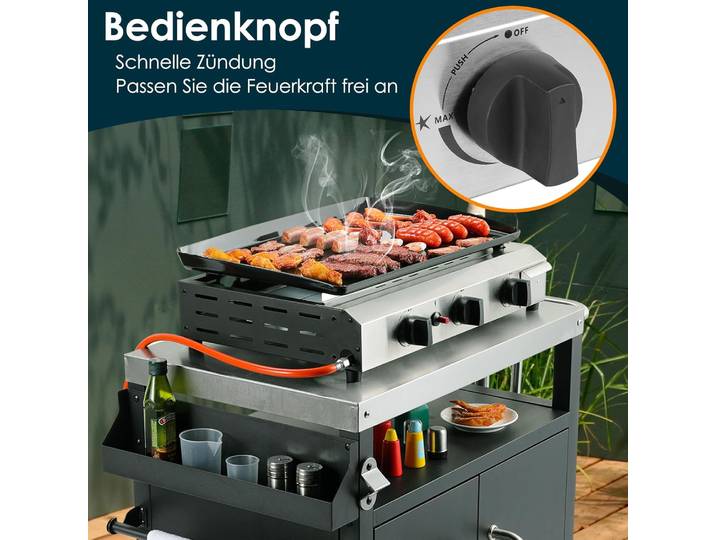 Barbecue à gaz de table 2/3 brûleurs, grill au propane avec fonctions de grillade, rôtissage, cuisson, barbecue de camping, barbecue portable pour pique-nique et camping