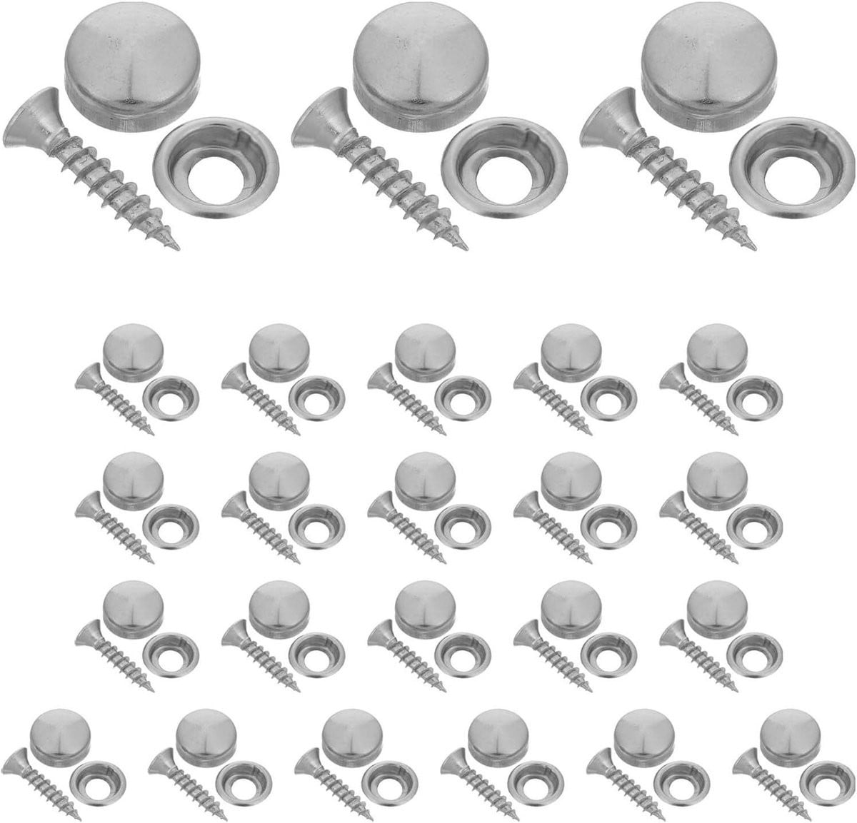 Schroefdoppen Set Decoratieve Covers Zilver - 24 Sets