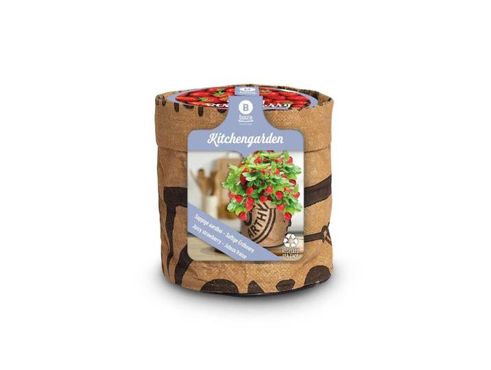 Baza keukentuintje sappige aardbei