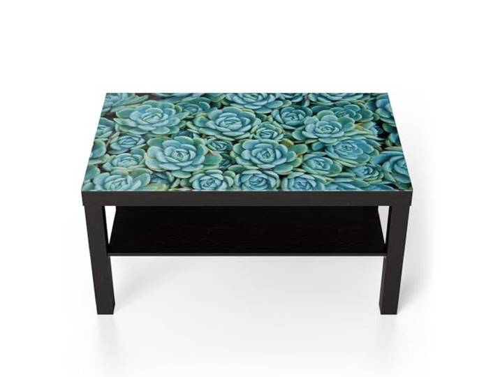 DEQORI Glastisch schwarz groß 90x50 cm Motiv Sukkulente Symmetrie ausgefallener Beistelltisch aus Glas Hochglanz Couchtisch fürs Wohnzimmer moderner Couch Tisch mit Design