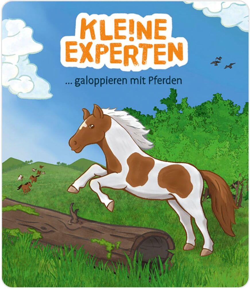TONIES Hörspielfigur "KLENE EXPERTEN - ... galoppieren mit Pferden", bunt, Hörspiele