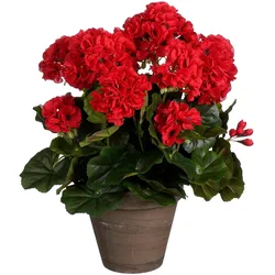 Mica Decorations, Kunstpflanzen, Geranium rot in Topf Stan grau d15,5cm - h41xd27cm (41 cm)