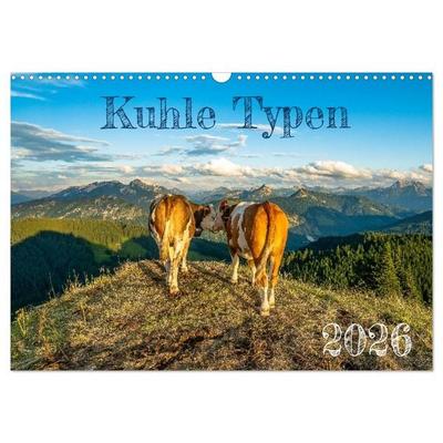 Kuhle Typen (Wandkalender 2026 DIN A3 quer), CALVENDO Monatskalender